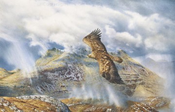 Golden Eagle over Arnisdale birds Oil Paintings